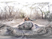 Hobbitt The Desolation of Cock in Virtual Reality