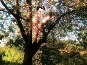 猎奇！中国情侣为了追求刺激，竟然站在树上打炮！.mp4