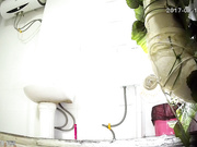 精品推薦 未流出過的小旅館衛生間高清偷怕到的人妻少婦如廁噓噓 雪白大屁股看得欲火焚身 1080P高清原版