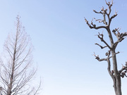 [START-143] しゃぶり癖喪女ニート 引きこもり自立センターの僕が初めて訪問した相談者は常に何かをしゃぶっていないと気が済まない女（23）だった。【破解】 - 1of5