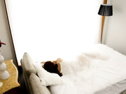 [SONE-288] 我被漂亮的女上司和可爱的女下属夹在中间..... 葵つかさ miru【破解】 - 1of5