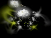 H0930 ori1744 菅沢 馨子 30歳