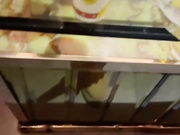 男友走后小姨子和姐夫马上KTV展开激烈肉欲狂欢酒水当润滑油猛烈撞击美臀！