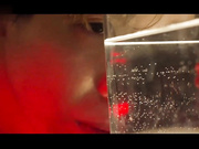 乐奈子 金鱼的报恩 情人节限定宠物女友