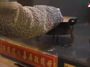香车美人轻松GO情人节轻松畅游台北湾上集心萱