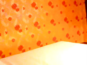 出租房里大做战花样招数无穷无尽值得观看