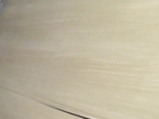 国内牛人潜入商场厕所从隔板下面侧拍美女嘘嘘2