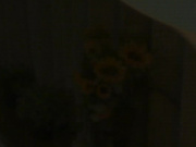 [IML-011]  母娘二世代同時寝取り