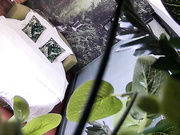 精品推荐小旅店绿叶房偷拍没啥性经验的小伙被长发美眉撸硬鸡巴没搞多久就射了太对不起这开房钱了