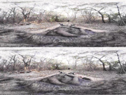 Hot Hairdresser Ella Fucked Hard and Facial VR