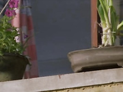 蹭个热度，李小璐成名之作《天浴》未删减露点视频，大盆里洗澡性感翘臀，压在床下爆草漏出粉嫩娇乳