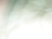 國內真實咪J-性感漂亮的臺灣小美女和網友吃飯時不幸中招,出租屋各種玩弄,操完壹次不過癮把她菊花也破了！