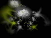 エッチな0930 柴富 真由香