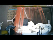 好身材纯纯气质美女主题宾馆啪啪作品 乳房大颜值不错很有生活气息让人超有感觉，把美女玩个遍