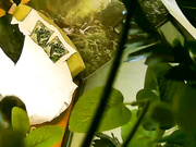 特色酒店偷拍胸大漂亮的美女被男抱到床上美女激烈反抗被扒掉裤子后哭了,强行操完后第二次竟主动配合男的干!