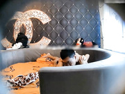 很会撩妹的四眼排骨小伙与身材苗条高气质学舞蹈的美女造爱前戏玩的太刺激69毒龙抱着头猛插嘴年轻人太火爆