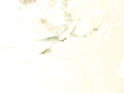 【网爆门事件】韩国校花情侣分手男方爆出自拍视频-高清原版无水印