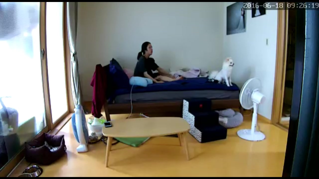 家庭摄像头被黑强开TP居家年轻小夫妻在床上变换体位激情啪啪啪两个宠物狗狗观战后入式它应该能懂吧哈哈