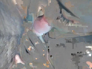 女神范气质性感白领美女下班后和公司帅气男经理家中约啪,各种姿势激烈猛插后又到客厅沙发上体验肏逼.国语!