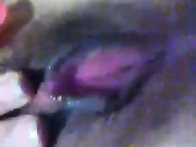 这木耳，活肯定好的不得了