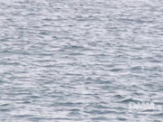 [BEB-090] 青奸露出-色情狂淫乱女人- 波多野結衣【破解】 - 1of5