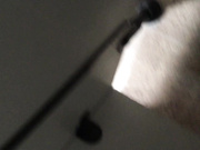 國內廁拍大神潛入某高校公共女廁多角度拍攝各式妹子如廁噓噓 貌似有的還來大姨媽了 1080P高清無水印