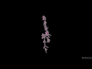 [WANZ-670] 和你讨厌的那个人… つぼみ - 1of5