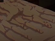 异世界后宫物语第三话