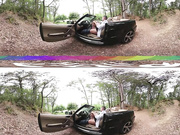 Love for Sale in Virtual Reality