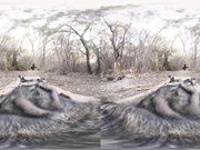 Sexy blonde Angel Piaff cums for you